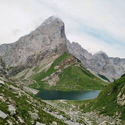 ... der sich immer ...