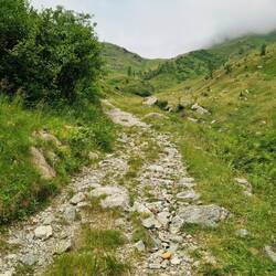 Steil führt der Fahrweg zum Öfner Joch 2011 m