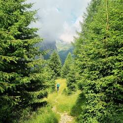 Durch lichte Wälder ...