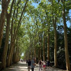 Entry to Chenonceau