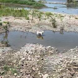 Die Frösche und Fische sind immer schneller, aber trotzdem geniesst es, und ich auch