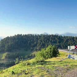 Ein letzter Rundumblick, mit viel Wehmut im Herzen. Georg ist einfach so schön.