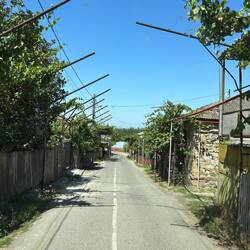 georgien ist ein Weinland. Jedes Fleckchen wird genutzt, auch über der Strasse.
