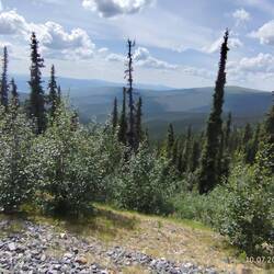 Weitblick, kein Mensch, kein Mast, kein Nix