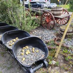 Doch noch Gold gefunden 👏🤑