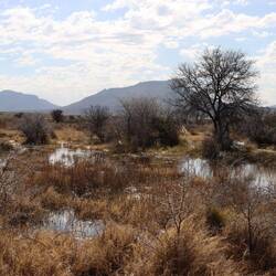 Der volle Stausee überschwemmt die ganze Gegend, viele Straßen sind gesperrt