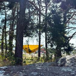 Und Schatten gesucht.