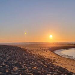 Surfer machen sich einfach immer gut😊