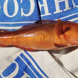 Oh pollocks just the one!