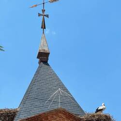 Loving the storks on the bell towers and steeples