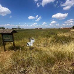 The itty-bitty nature preserve