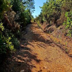 Prachtige paden half schaduw.