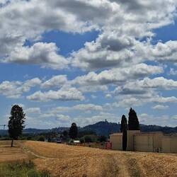 Ik loop op het goudgele land en zie in de verte San Miniato.