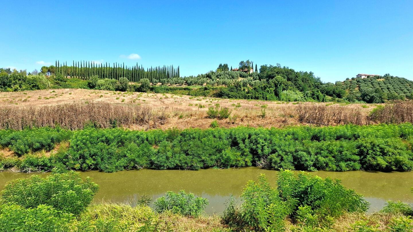 Cypressen overal. Dit moet Toscane zijn.