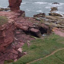 Seaton cliffs