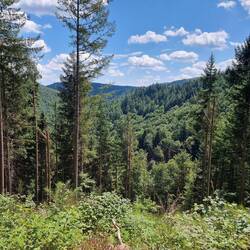 Weg naar / Road to Wasigenstein