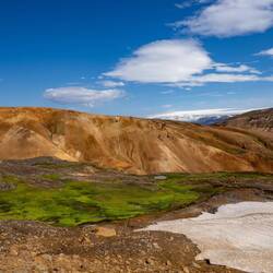 Es grünt so grün im Hochlandsommer