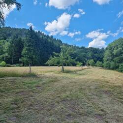 Weg naar / Path to Petit Arnsberg