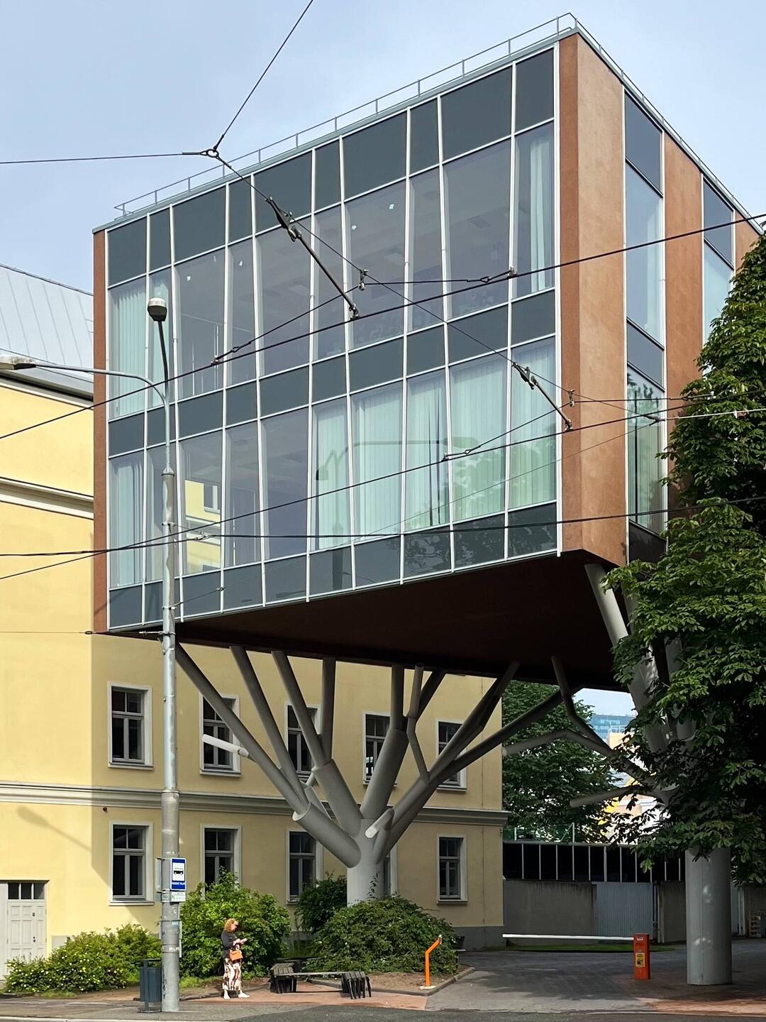 A building growing in a tree?