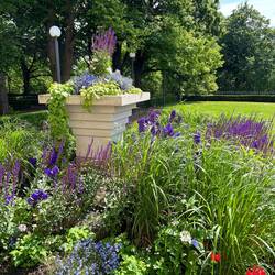 All the parks have beautiful flowers.