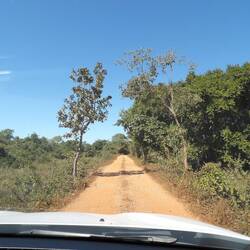 Weg zur Lodge (ca. 5km von der Transpantaneira