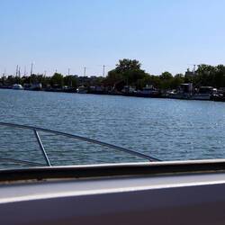 Und wenn die Schiffe alt werden, liegen sie alle hier.