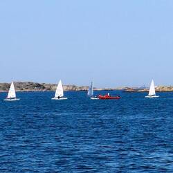 Segelunterterricht direkt vor der Hafeneinfahrt in Langedrag. Mitten zwischen den Schären