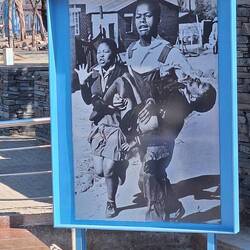 Hector being carried by his sister after being shot