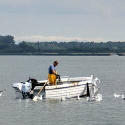 Der frische Fisch wurde auch unterwegs eingesammelt