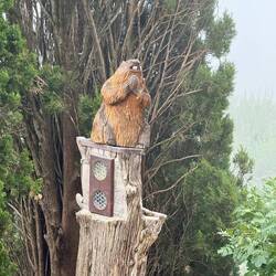 Praying to the beaver god?