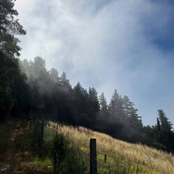 Hiking up and out