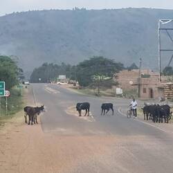 Abzweigung zur Grenze