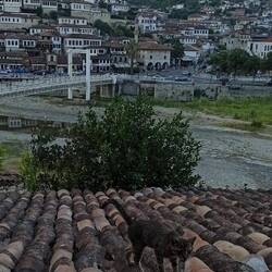 Ankunft am frühen Abend in Berat - Blick von unserer Terrasse - mit Katze 🐱
