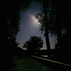 🌔