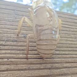 Und manchmal ist man nur noch eine leere Hülle 😳