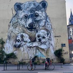 Rue Saint Thiébaut: „Les 3 ours polaire“ vom portugiesischen Künstler Bordalo II
