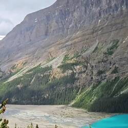Mystic am Peyto Lake