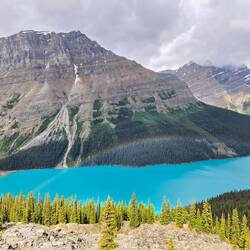 Peyto Lake