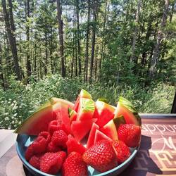 Obst-Snack am Übernachtungsplatz
