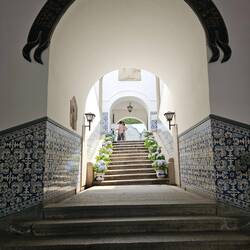 Depuis le hall de l'hôtel de ville, en quête d'ombre et de fraîcheur on a la surprise de trouver des