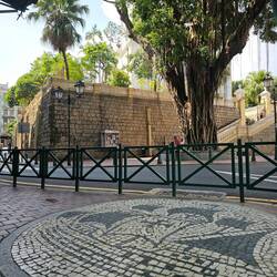 Une caravelle, un banyan