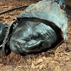 Bog man's head is the only real part