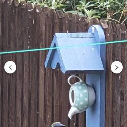 There was shop selling bird feeeders with upcycled tea pots. Market idea