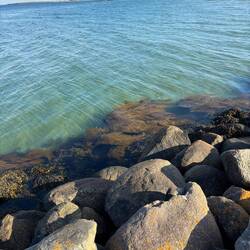 No fish, but beautiful clean water