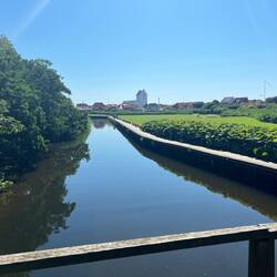 The river