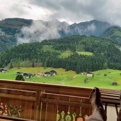 Panoramasauna - passt!😂