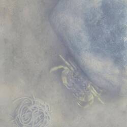 Einheimische sind auch schon gefunden