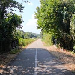 Der Radweg - echt mega gut
