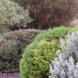 Port Augusta Arid Gardens