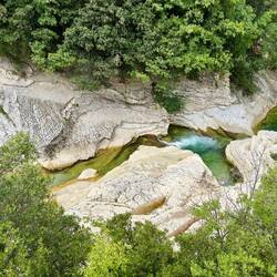 Gorga Brugnola